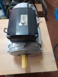 motore elettrico 