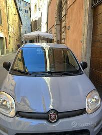 FIAT PANDA 1.0 FireFly hybrid