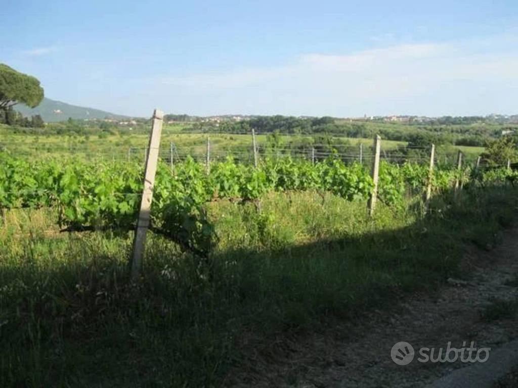Immobile in asta di 151463 m² a Grottaferrata - Vista 4