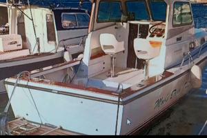 TUCCOLI T 25 MOBY DICK + 2x130hp VOLVO PENTA