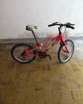 bicicletta Nuzzi 