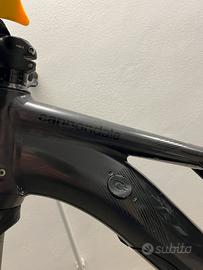 Mountain bike elettrica