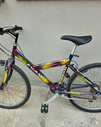MOUNTAIN BIKE UOMO 