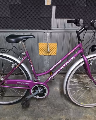 Bicicletta da passeggio 