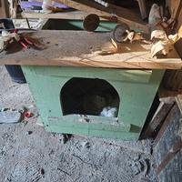 cuccia a 2 scomparti 