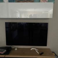 TV OLED55B7V 55” 2017 schermo rotto