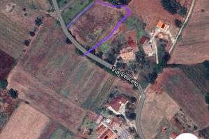 terreno agricolo