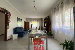 Casa singola al piano terra in centro a Vò