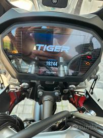 splendida Tiger xca 
