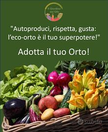 Terreno agricolo coltivabile