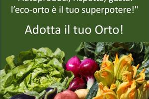 Terreno agricolo coltivabile