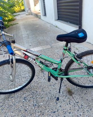 bicicletta