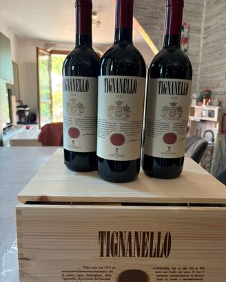 Tignanello 2023