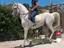 Immagine 2