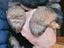 Immagine 4