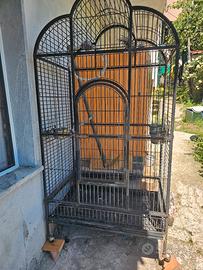 voliera per pappagalli