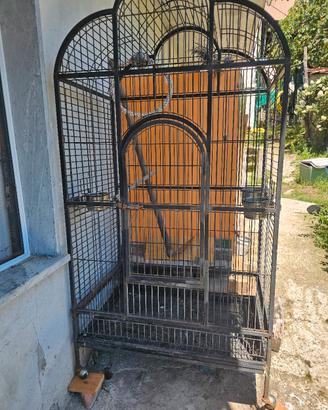 voliera per pappagalli