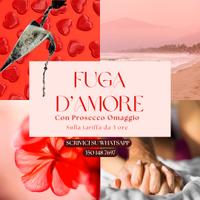 Ad Ore Camere Eleganti - Privacy 100%