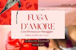 Ad Ore Camere Eleganti - Privacy 100%