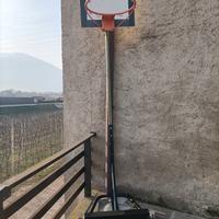 cesto pallacanestro