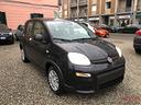 fiat-panda-1-0-firefly-s-s-hybrid-pandina