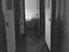 Immagine 11