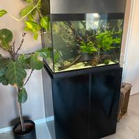 Acquario 130 lt