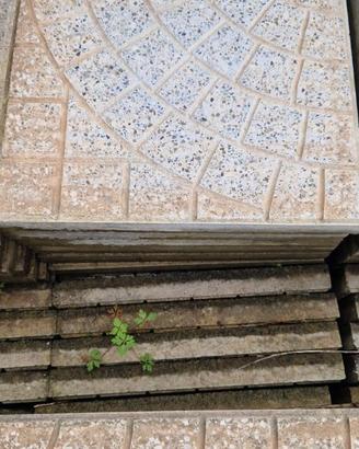 Lastre da giardino 30x30