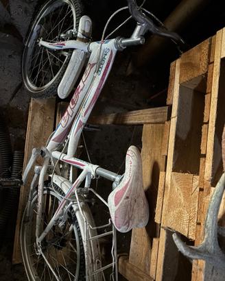 Bicicletta bambina
