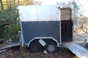 trailer per cavalli