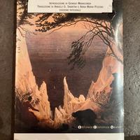 Libro nuovo: I dolori del giovane Werther