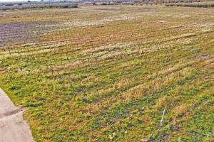 Castelvetrano Terreno Agricolo