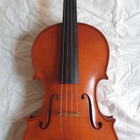 Viola del liutaio Ciurba Nicolae