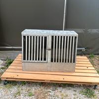 Cane trasportino macchina