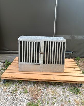 Cane trasportino macchina