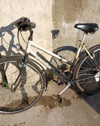 Bicicletta donna