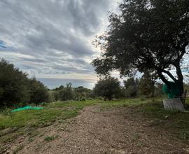 Terreno agricolo