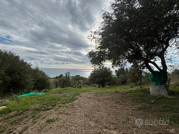 Terreno agricolo