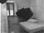 Immagine 13