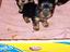 Immagine 5