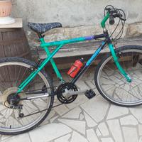 bianchi ragno 