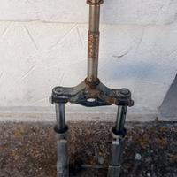 forcella sr fari tondi
