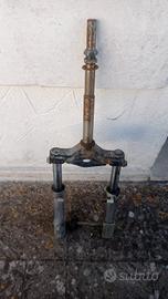 forcella sr fari tondi