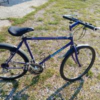 Bici bianchi da uomo