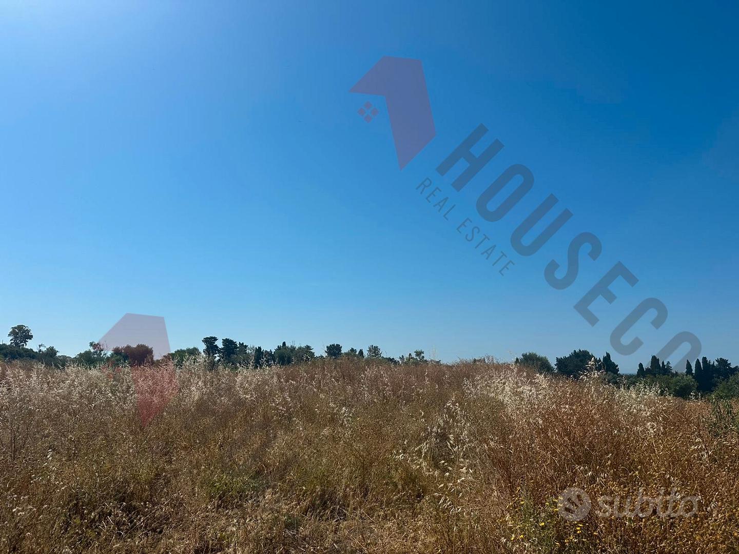 Località Gannì: Terreno agricolo - Vista 2