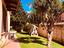 Immagine 24