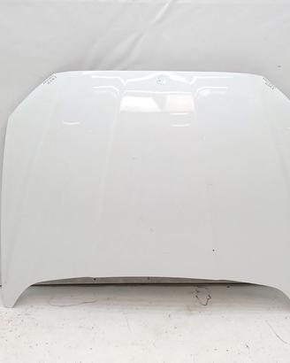 Cofano anteriore ford mondeo 2016 ds73f16612cn 2da