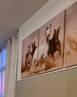 quadro cavalli 