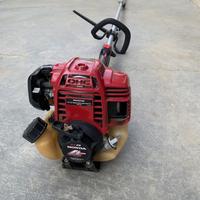 Potatore telescopico Honda gx 25