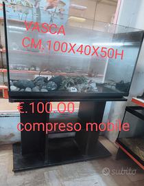 VASCA ACQUARIO